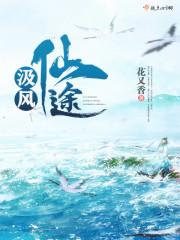 丫鬟光輝免費(fèi)閱讀封面