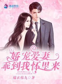 姜知意陸辰安小說免費(fèi)閱讀封面