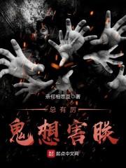 付婉婉瑜妃小說封面