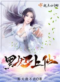 沈從安葉清小說封面