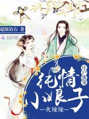 只是懂事趙言歡小說(shuō)封面