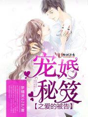 風雪珠珠小說封面