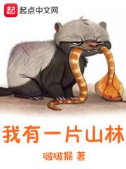 賀綿綿霍司諭小說(shuō)封面