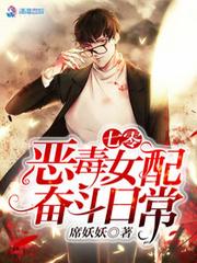 時光燈火秋菊福公公封面