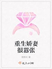 逍遙小貴婿李辰安寧楚楚封面