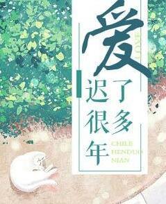 愛遲了很多年封面
