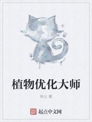 沈喬煙傅琛小說名字叫什么封面