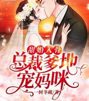 夏燃盛熠城封面