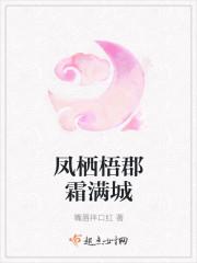 不悔媚魚txt封面