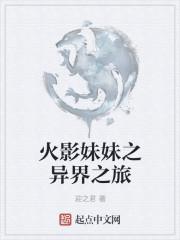 沈離歌 徐元青小說免費閱讀封面