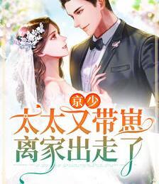 京少，太太又帶崽離家出走了封面