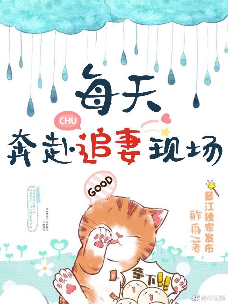 沐歆宋子文封面