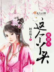 沈沅嘉陸筵小說(shuō)免費(fèi)閱讀封面