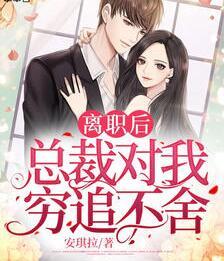 離職后總裁對(duì)我窮追不舍小說封面