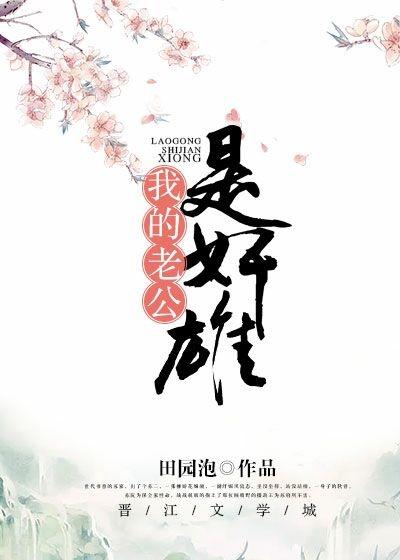 葉傾懷陸宴塵全文小說免費(fèi)閱讀封面