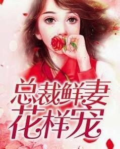 九州天王葉凌天的小說封面