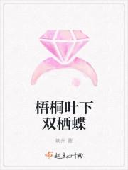 夏爾爾陸川封面