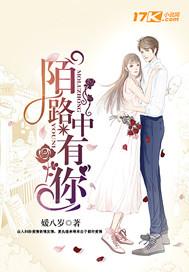 葉傾懷陸宴塵小說(shuō)在線閱讀封面