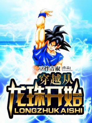穿越從龍珠開始封面
