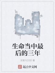 最后的三年封面