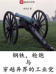鋼鐵，槍炮與穿越異界的工業(yè)黨封面