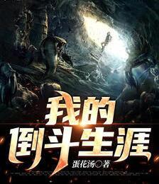 我的倒斗生涯封面