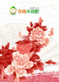 蘇晚夏沈斯言封面