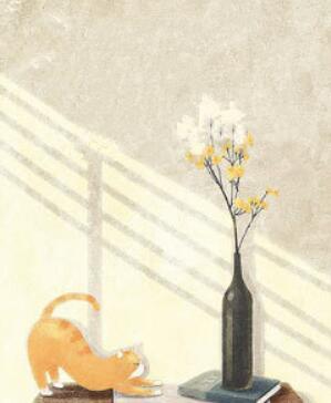 蘇暖厲南爵封面