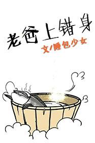 取下銀面具小說(shuō)免費(fèi)封面