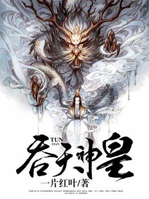 吞天神皇封面