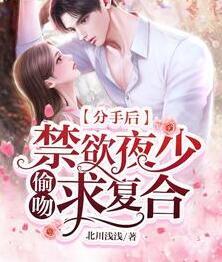 沈若曦夜慕北封面