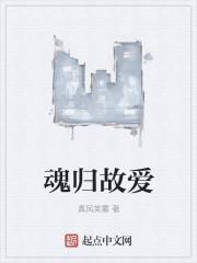 再不相逢免費閱讀封面