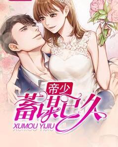帝少蓄謀已久封面