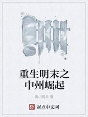 重生明末之中州崛起封面