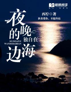 葉綰綰封堯小說無彈窗免費(fèi)閱讀封面