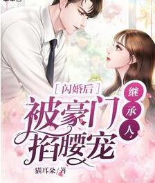 閃婚后，被豪門繼承人掐腰寵封面