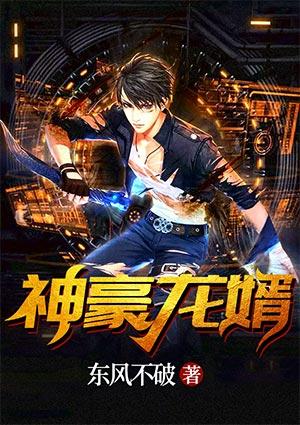 神豪龍婿封面