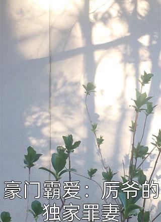 主角秦昊秦四海小說封面
