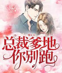 一胎七寶：總裁爹地你別跑封面