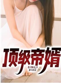 頂級(jí)帝婿封面