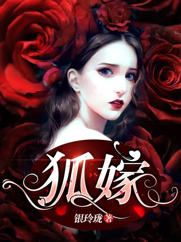 血狐貍?cè)~紫兒封面