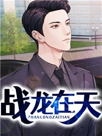 戰(zhàn)龍在天封面
