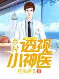 鄉(xiāng)村透視小神醫(yī)封面