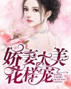 顧青芒陸衍牧封面