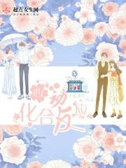 梟南城葉妍封面