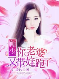 顧少，你老婆又帶娃跑了封面