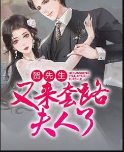 賀先生又來套路夫人了封面