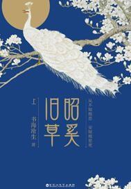 沈詩怡陸宴遲小說免費(fèi)閱讀封面