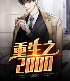 重生之2000封面