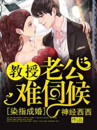 染指成婚，教授老公難伺候封面